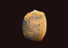 Håndværkere 10 stk 